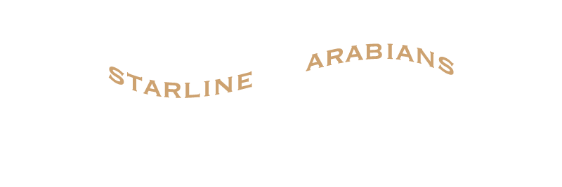 Starline logo tan lg