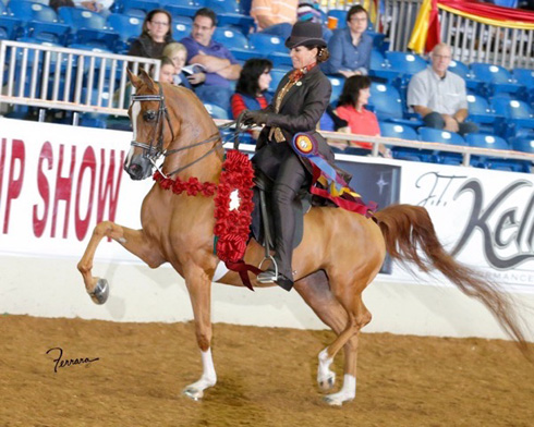 Noblemis with Lori Lawrence at the 2014 U.S. Nationals