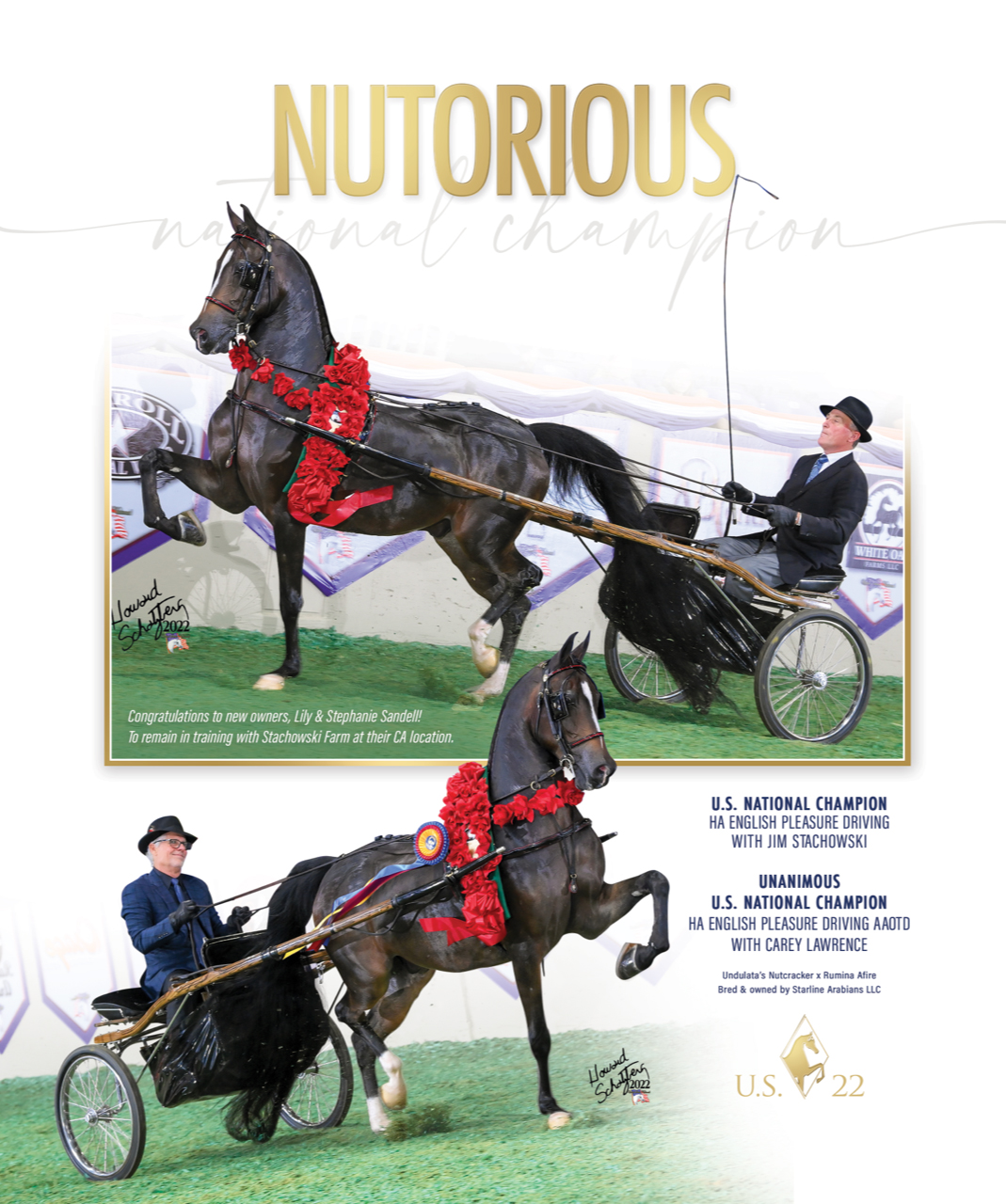 2022 nutorious ad